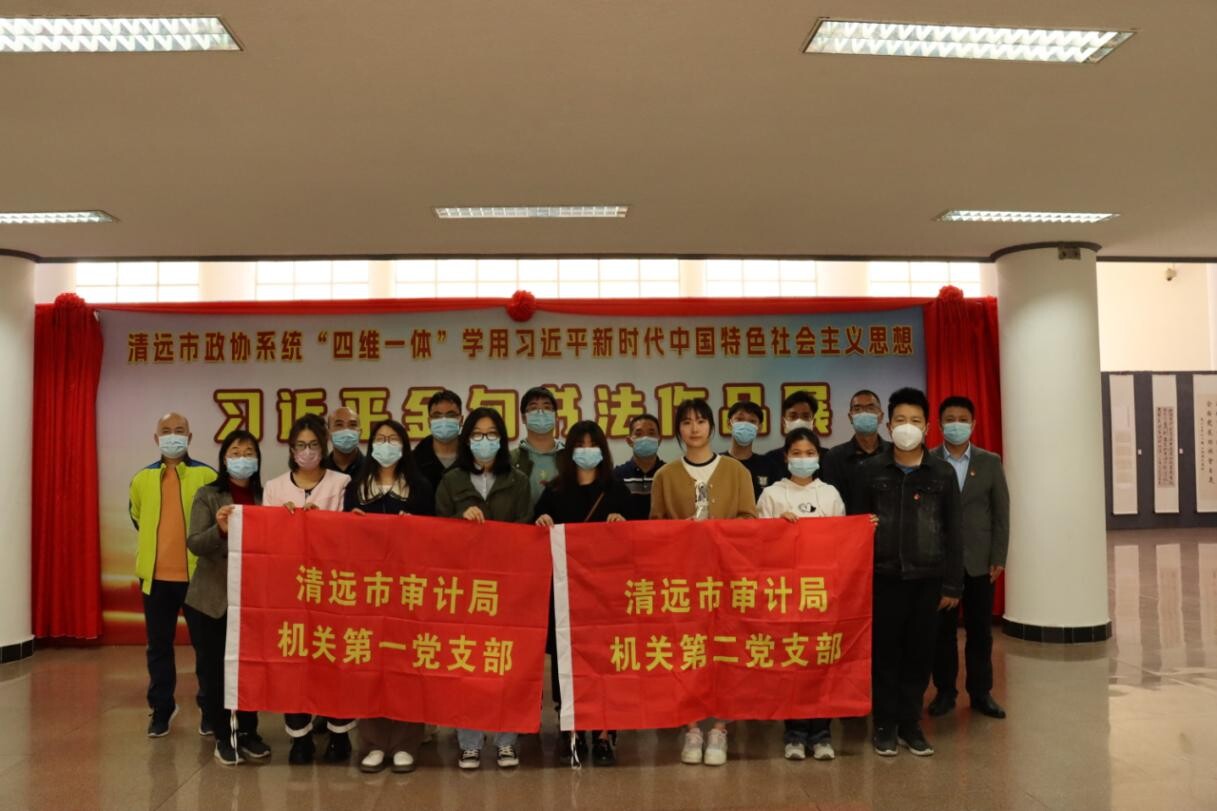 2.清遠(yuǎn)市審計(jì)局組織開(kāi)展“觀展覽、悟思想、踐行動(dòng)”主題黨日活動(dòng)_2